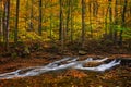 Autumn Waterfall Royalty Free Stock Photo