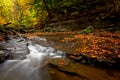 Autumn Waterfall Royalty Free Stock Photo