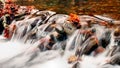 Autumn Waters In The Smoky Mountains Royalty Free Stock Photo