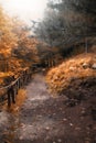 Autumn way Royalty Free Stock Photo