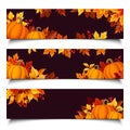 Autumn web banners with pumpkins and colorful fall leaves. Set of vector web banners Royalty Free Stock Photo