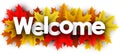 Autumn welcome sign with color maple leaves