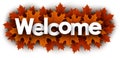 Autumn welcome sign with orange maple leaves Royalty Free Stock Photo