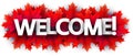 Autumn welcome sign with red maple leaves Royalty Free Stock Photo