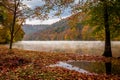 Autumn leaves by a foggy West Virginia River Royalty Free Stock Photo