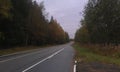 Autumn wet asphalt. Northern nature Royalty Free Stock Photo