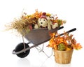 Autumn Wheelbarrow Pup