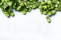 Autumn white background with green hop cones on the vine, top vi