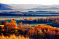 The autumn white birch forest on the meadow sunset Royalty Free Stock Photo