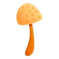 Autumn white mushroom icon, cartoon style