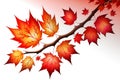 Autumn Whitespace: Leaves Frame on White Background with Versatile Space