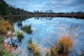 Autumn on wild forest lake