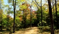 Autumn wind of the red mountain Royalty Free Stock Photo