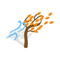 Autumn wind and tree icon, isometric 3d style Royalty Free Stock Photo