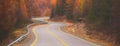 Autumn winding road in the forest Royalty Free Stock Photo