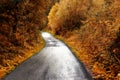 Autumn winding road in the forest Royalty Free Stock Photo
