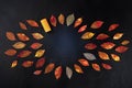 Autumn wine background with vibrant fall leaves on black, a design template for a winetasting invitation