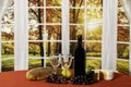 Autumn wine and cheese on red with fall window background