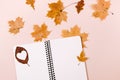 Autumn and winter composition. Notebook and dry autumn leaves maple on pastel pink background Royalty Free Stock Photo