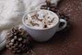 Autumn and winter concept. Cup of cocoa with marshmallows, white sweater, pine cones and snow on brown background. Chestnut color. Royalty Free Stock Photo