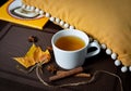 Autumn or winter hot tea with spices in the white cup. Royalty Free Stock Photo