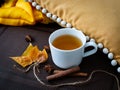 Autumn or winter hot tea with spices in the white cup. Royalty Free Stock Photo