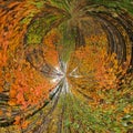 Autumn Winter Nature Golden Forest Abstract Art