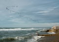 Autumn and winter sea storm, bright sunny day, city beach. Seabirds, cormorants fly in the direction of the open sea. Blue blue Royalty Free Stock Photo