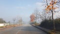 Autumn winter season road street travel fog treess with yellow leaves Royalty Free Stock Photo