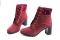 Autumn and winter women\'s cherry ankle boots isolated on white background. Front view Royalty Free Stock Photo