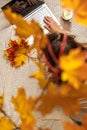 Autumn. Woman freelancer on the plaid with laptop, cup of coffee under branch of golden maple leaf on the green grass in the park. Royalty Free Stock Photo