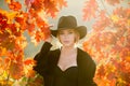 Autumn woman with yellow maple leaves. Closeup portrait of a beautiful girl in black hat on autumn fall leaves Royalty Free Stock Photo