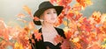 Autumn woman with yellow maple leaves on golden wall background. Closeup portrait of a beautiful girl in black hat near Royalty Free Stock Photo