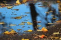 Autumn is a wonderful time, yellow leaves and puddles Royalty Free Stock Photo