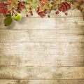 Autumn wooden background with a branch of mountain ash Royalty Free Stock Photo