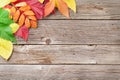 Autumn wooden background