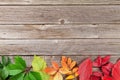 Autumn wooden background