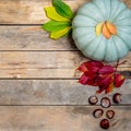 Autumn wooden background with yellow-red and green leaves, pumpkin and chestnut. Composition on a natural table made of Royalty Free Stock Photo