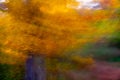 Abstract icm bright autumn foliage fall colors soft nature background