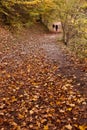 Autumn woodland path Royalty Free Stock Photo
