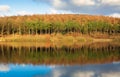 Autumn woodland reflected in a lake