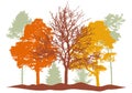 Autumn woodland, silhouette of bare tree, trees with leaves and spruces tree and pines. Beautiful nature, landscape. Vector Royalty Free Stock Photo