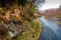 Autumn woodlands and highland road in northern Scotland Royalty Free Stock Photo
