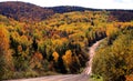 Autumn woods dirt road Royalty Free Stock Photo
