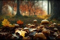 Autumn mushrooms in woods foliage