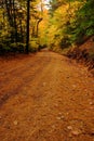 Autumn woods road colors Royalty Free Stock Photo