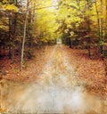 Autumn Woods Trail on Grunge Background Royalty Free Stock Photo