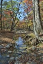 Autumn woodsy river 1 Royalty Free Stock Photo