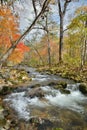Autumn woodsy river 10 Royalty Free Stock Photo