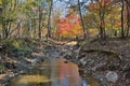 Autumn woodsy river 20 Royalty Free Stock Photo